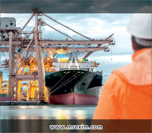 M.S. Exim Services Custom House Agents in Ludhiana Punjab India